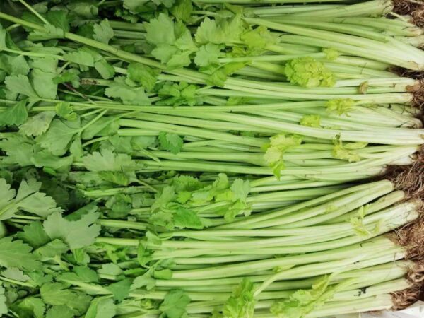 Chinese Celery/500g