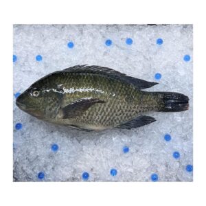 AW'S Market Black Tilapia
