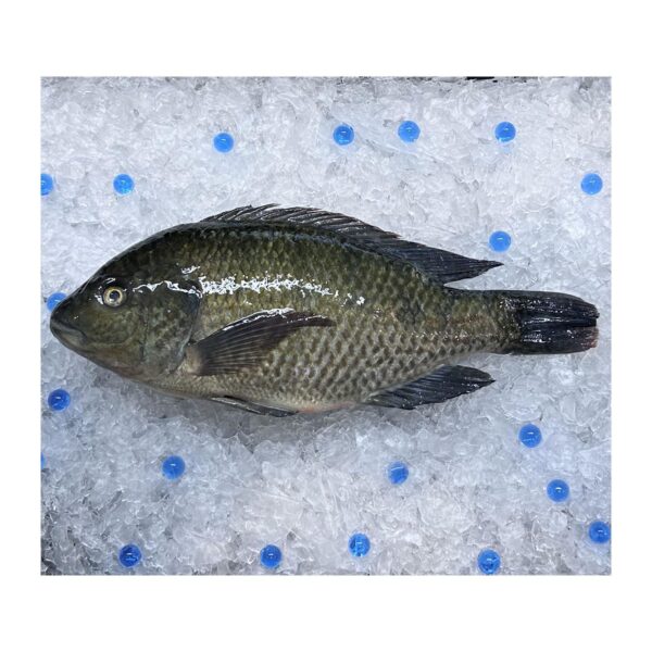 AW'S Market Black Tilapia
