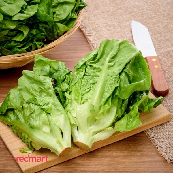 RedMart Baby Romaine Lettuce Salad
