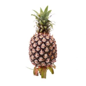 Josa Pineapple