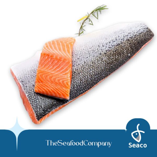Seaco Frozen Rainbow Trout Salmon Fillet