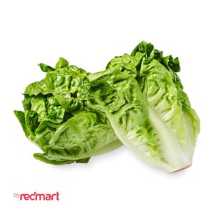 RedMart Romaine Lettuce Salad