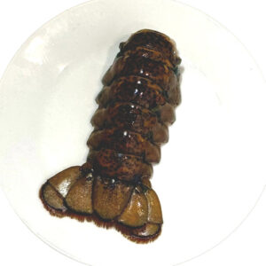 Catch Seafood Boston Lobster Tail Raw - Frozen