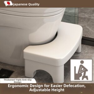 Toilet Assist Footstool