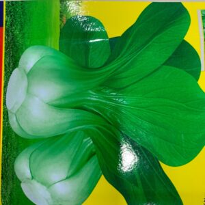 1.Baby Bok Choy Seeds 300pcs buy 1 free 1