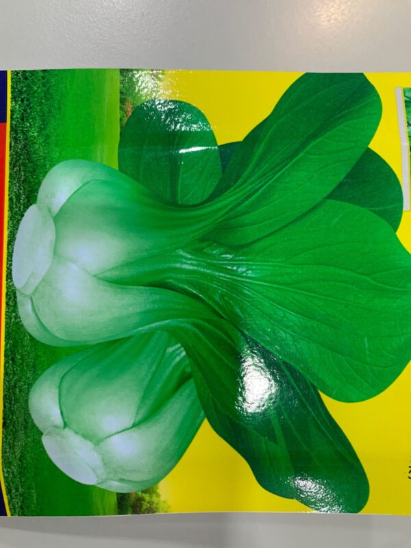 1.Baby Bok Choy Seeds 300pcs buy 1 free 1