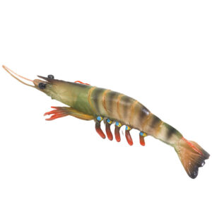 Simulated Solid Shrimp Model