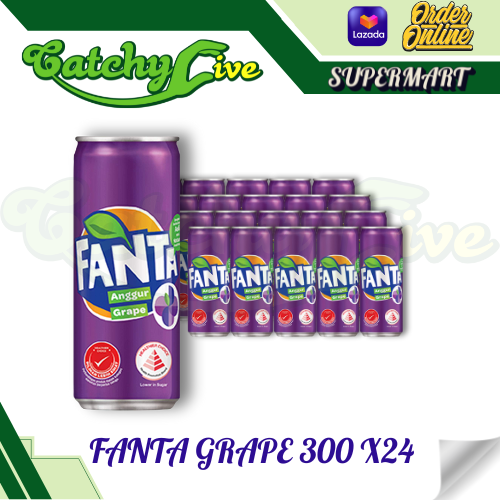 FANTA GRAPE 300 ML X24