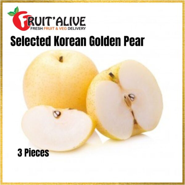 GOLDEN PEAR 黄金梨 FROM KOREA 3 PCS (FRUIT)