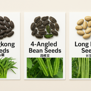 Kangkong, 空心菜 / Long Bean 长豆 / 4-Angled Bean 四角豆 Seeds – 10g / 10 Seeds Per Pack – High Germination – Tropical Vegetables