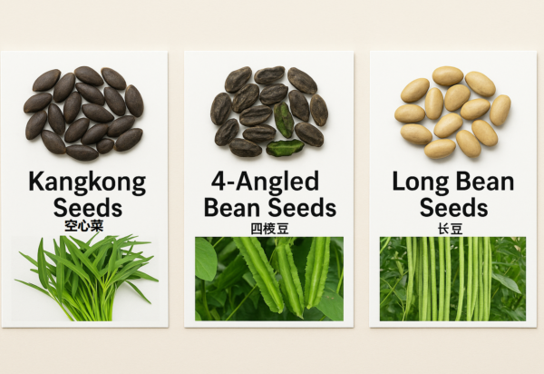 Kangkong, 空心菜 / Long Bean 长豆 / 4-Angled Bean 四角豆 Seeds – 10g / 10 Seeds Per Pack – High Germination – Tropical Vegetables