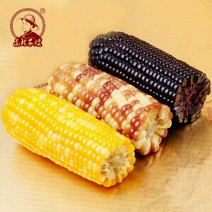[Ready Stocks] 6 Pics Sticky Corn Glutenous Corn Yellow Bi-Color Black White Corn 黄色花色黑色白色糯玉米粘玉米