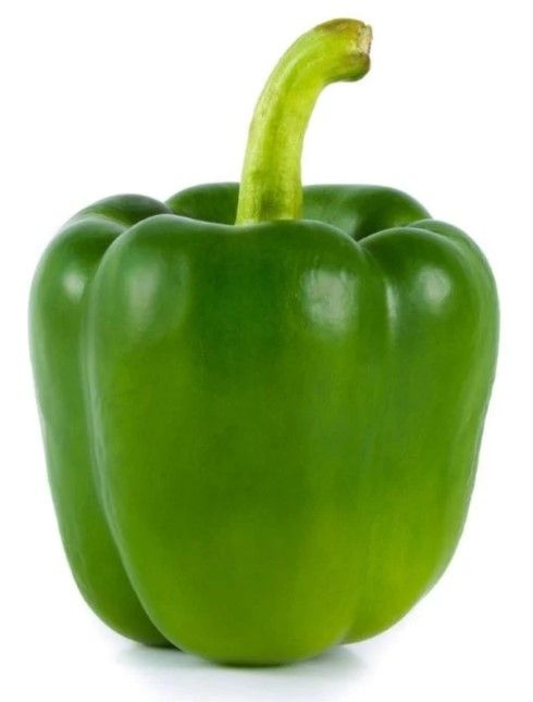 Fresh Green Capsicum / Bell Pepper 200g–250g | Juicy, Crisp & Healthy